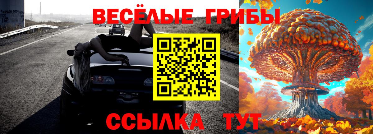 Псилоцибиновые грибы Psilocybe Ефремов