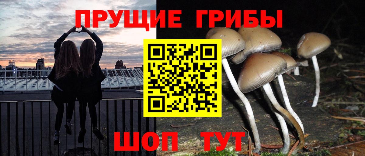 Галлюциногенные грибы GOLDEN TEACHER  Вход с VPN  Ефремов 